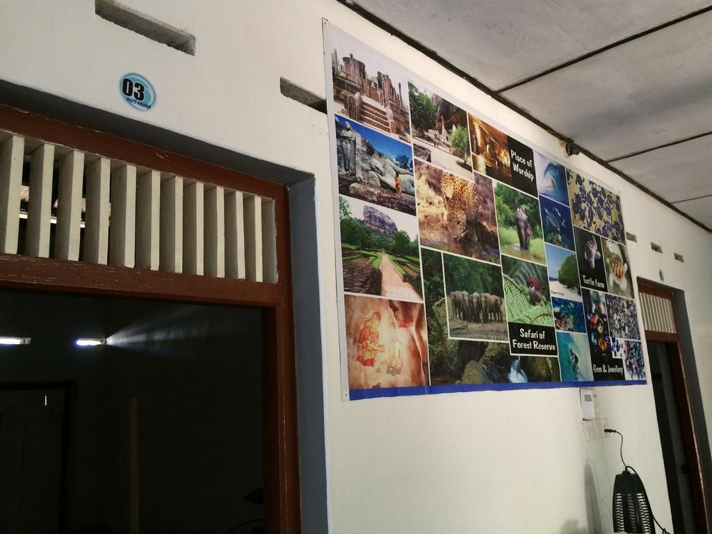 ホテル Eastwind Surf Camp アルガムベイ エクステリア 写真