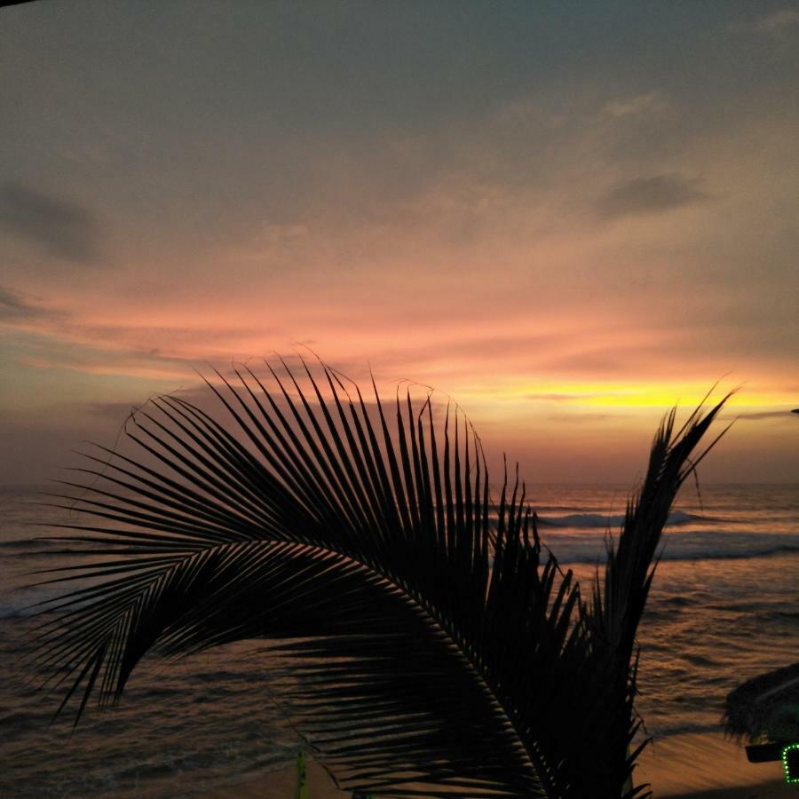 ホテル Eastwind Surf Camp アルガムベイ エクステリア 写真
